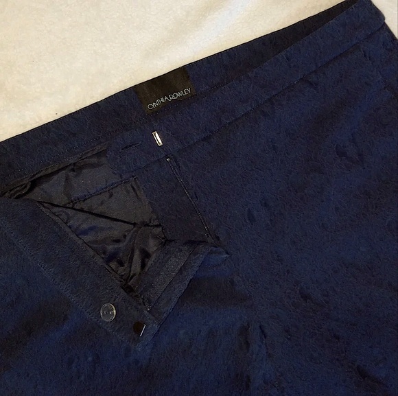 Cynthia Rowley EUC Navy Blue Textured Cropped Ankle Pants size 14 - Picture 3 of 8